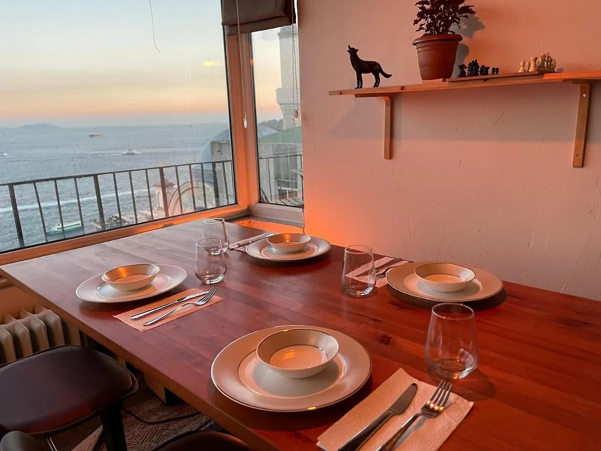 Art Loft , 270* Full Sea View In Cihangir Apartment Istanbul 0*,  Turkey
